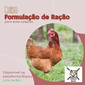 Curso de Formulação de Ração para Aves Caipiras